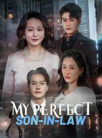 My Perfect Son-in-Law