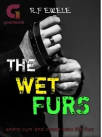 The Wet Furs Novel Cover