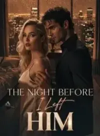The Night Before I Left Him Novel Cover