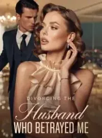 Divorcing the Husband Who Betrayed Me Novel Cover