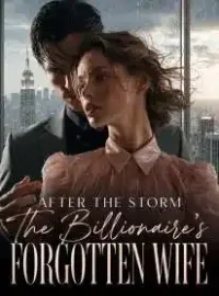 After the Storm The Billionaire's Forgotten Wife Novel Cover