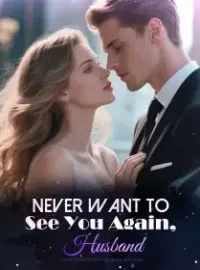 Never Want to See You Again, Husband Novel Cover