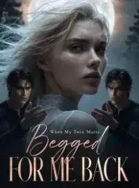 When My Twin Mates Begged for Me Back Novel Cover