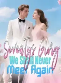 Seventys Glory We Shall Never Meet Again Novel Cover