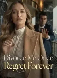 Divorce Me Once, Regret Forever Novel Cover