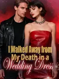 I Walked Away from My Death in a Wedding Dress Novel Cover