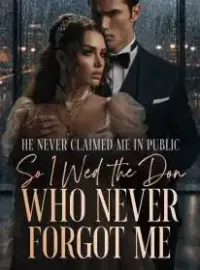 He Never Claimed Me in Public,So I Wed the Don Who Never Forgot Me Novel Cover