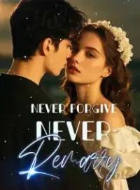 Never Forgive, Never Remarry Novel Cover