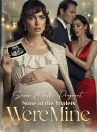 Seven Months Pregnant, None of the Triplets Were Mine Novel Cover