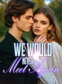 We Would Never Meet Again Novel Cover