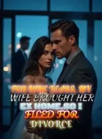 For Nine Years, My Wife Brought Her Ex Home,So I Filed for Divorce Novel Cover