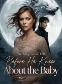 The Ring Came Off Before He Knew About the Baby Novel Cover