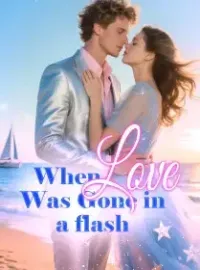 When Love Was Gone in a flash Novel Cover