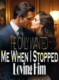 He Only Wanted Me When I Stopped Loving Him Novel Cover