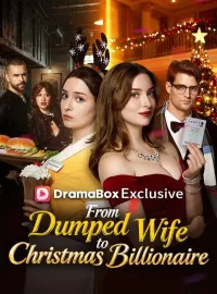 From Dumped Wife to Christmas Billionaire