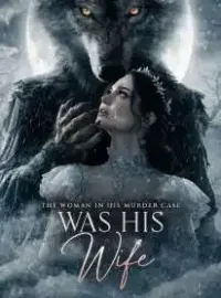 The Woman in His Murder Case Was His Wife Novel Cover