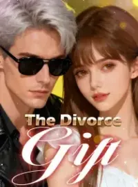The Divorce Gift Novel Cover
