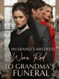 My Husband's Mistress Wore Red to Grandma's Funeral Novel Cover