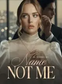 He Needed My Name, Not Me Novel Cover