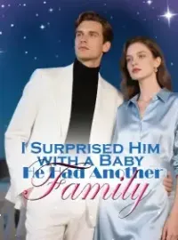 I Surprised Him with a Baby, He Had Another Family Novel Cover