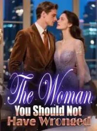 The Woman You Should Not Have Wronged Novel Cover