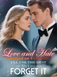 Love and Hate Dragged on Endlessly, I'll Use The Rest of My Life to Forget It Novel Cover