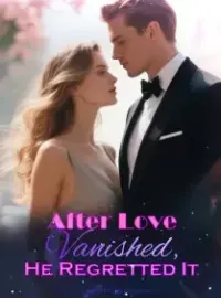 After Love Vanished, He Regretted It Novel Cover