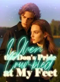 When the Don's Pride Crumbled at My Feet Novel Cover