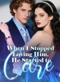 When I Stopped Loving Him, He Started to Care Novel Cover
