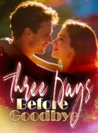  Three Days Before Goodbye Novel Cover