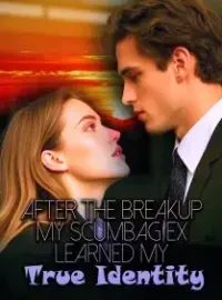 After the Breakup, My Scumbag Ex Learned My True Identity Novel Cover