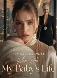 The Grandmother Who Stole My Baby's Life Novel Cover