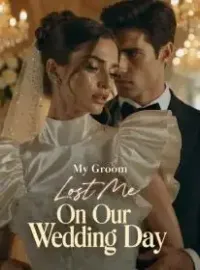 My Groom Lost Me on Our Wedding Day Novel Cover