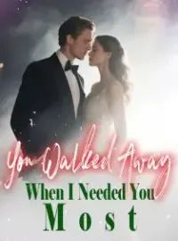 You Walked Away When I Needed You Most Novel Cover