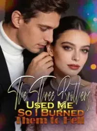 The Three Brothers Used Me, So I Burned Them to Hell Novel Cover