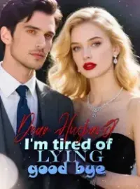 Dear Husband, I'm tired of lying, good bye! Novel Cover