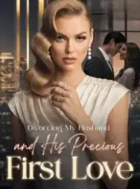 Divorcing My Husband and His Precious First Love Novel Cover