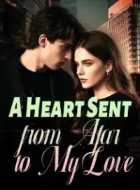 A Heart Sent from Afar to My Love Novel Cover
