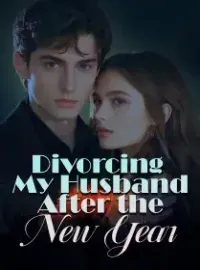 Divorcing My Husband After the New Year Novel Cover