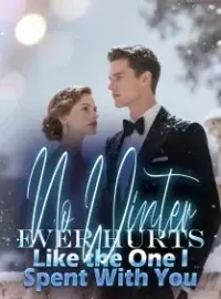 No Winter Ever Hurts Like the One I Spent With You Novel Cover