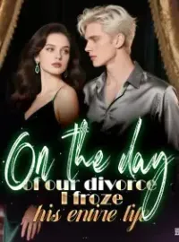 On the day of our divorce, I froze his entire life Novel Cover