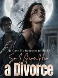 He Gave My Bedroom to His Ex ,So I Gave Him a Divorce Novel Cover