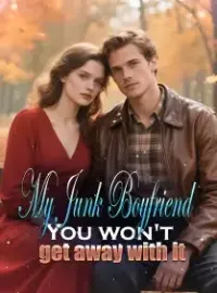 My Junk Boyfriend, You won't get away with it! Novel Cover