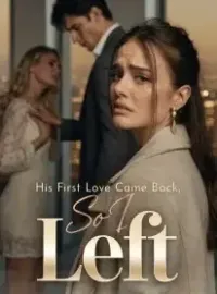 His First Love Came Back, So I Left Novel Cover