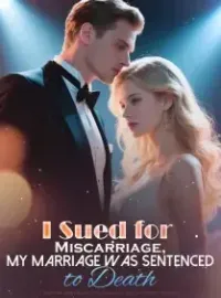I Sued for Miscarriage, My Marriage was Sentenced to Death Novel Cover