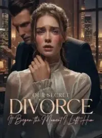 Our Secret Divorce: It Began the Moment I Left Him Novel Cover