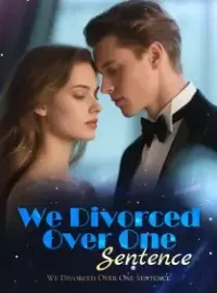 We Divorced Over One Sentence Novel Cover