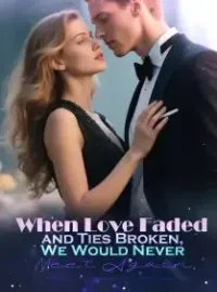 When Love Faded and Ties Broken, We Would Never Meet Again Novel Cover