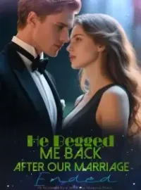 He Begged Me Back After Our Marriage Ended Novel Cover