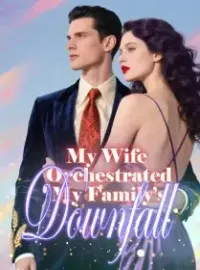 My Wife Orchestrated My Family’s Downfall Novel Cover